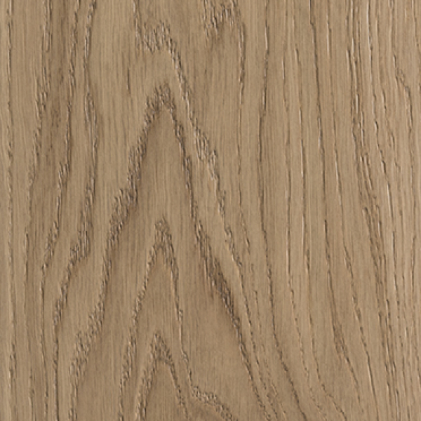 Rovere Europeo